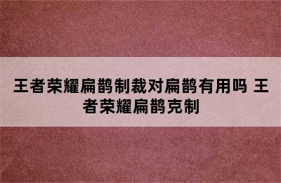 王者荣耀扁鹊制裁对扁鹊有用吗 王者荣耀扁鹊克制